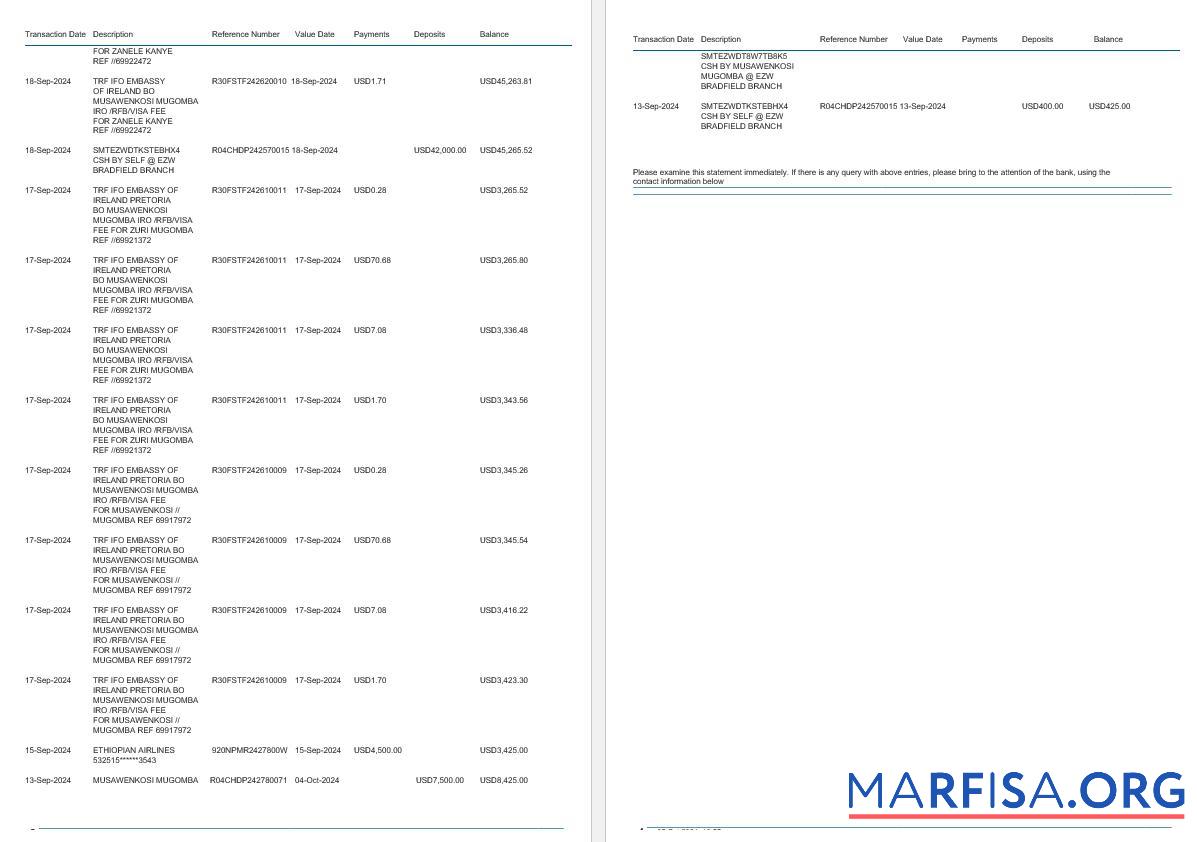 Downloadable Zimbabwe Ecobank bank statement word 4 pages 2 example